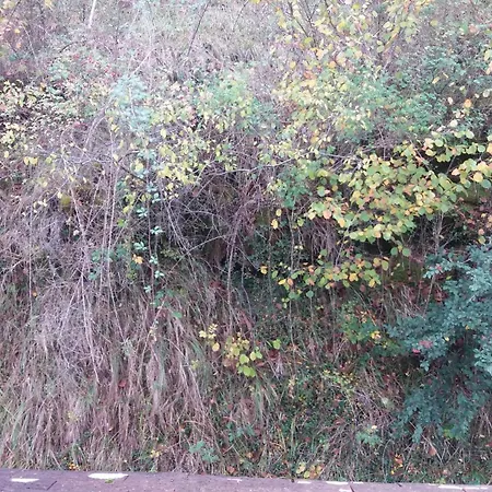 Le Moulin Des Cavaliers 3* La Rouquette