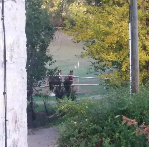 Le Moulin Des Cavaliers