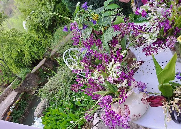 Bed & Breakfast Le Moulin Des Cavaliers La Rouquette