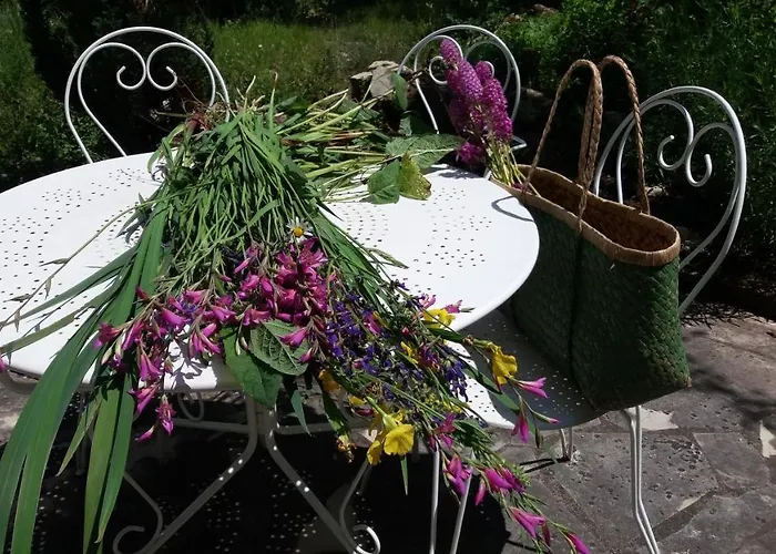 Bed & Breakfast Le Moulin Des Cavaliers La Rouquette