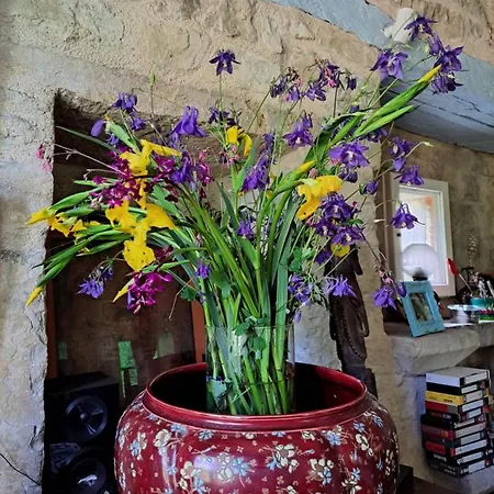 Le Moulin Des Cavaliers 3* La Rouquette