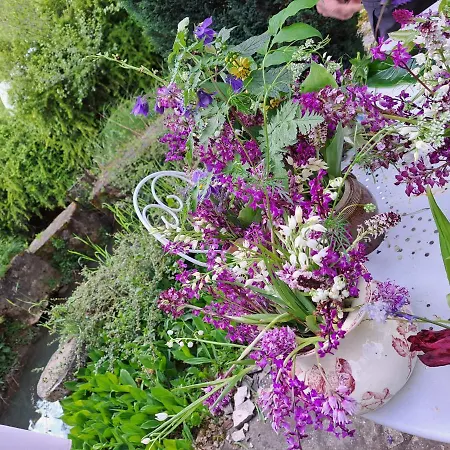 Nocleg ze śniadaniem Le Moulin Des Cavaliers La Rouquette