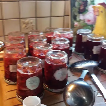 Le Moulin Des Cavaliers Nocleg ze śniadaniem La Rouquette