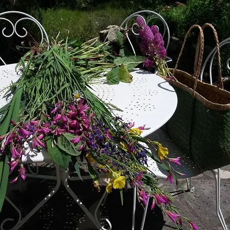 Nocleg ze śniadaniem Le Moulin Des Cavaliers La Rouquette