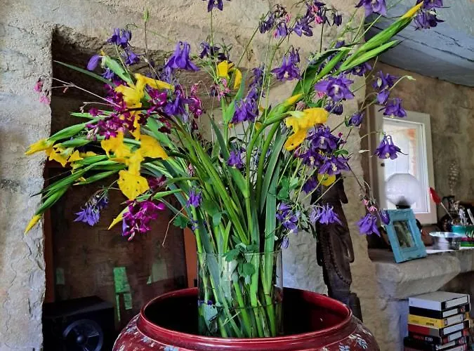 Le Moulin Des Cavaliers 3* La Rouquette