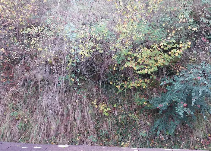 Le Moulin Des Cavaliers 3* La Rouquette